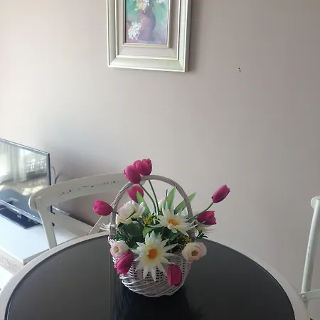 Admiral Plaza Sluneční pobřeží